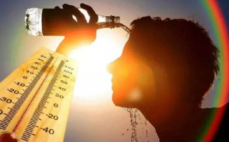 alert signalકેટલાં તાપમાને, કયા કલર કોડમાં કયું એલર્ટ આપવામાં આવે છે? જાણો... 