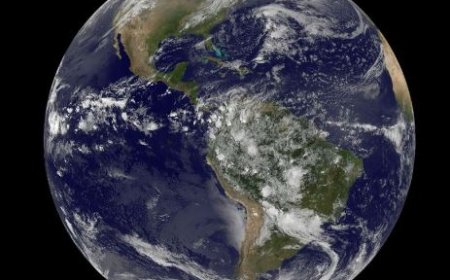 Earth Day Special પૃથ્વી દિવસે ગૂગલે કરી વિશેષ રજૂઆત...