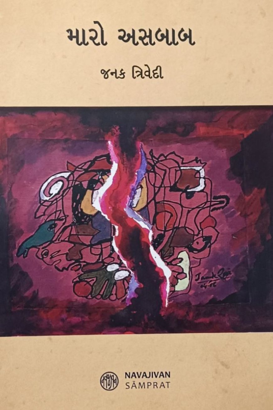 મારો અસબાબઃ ભાષાનો અને જિંદગીનો એક અલગ રૂઆબ