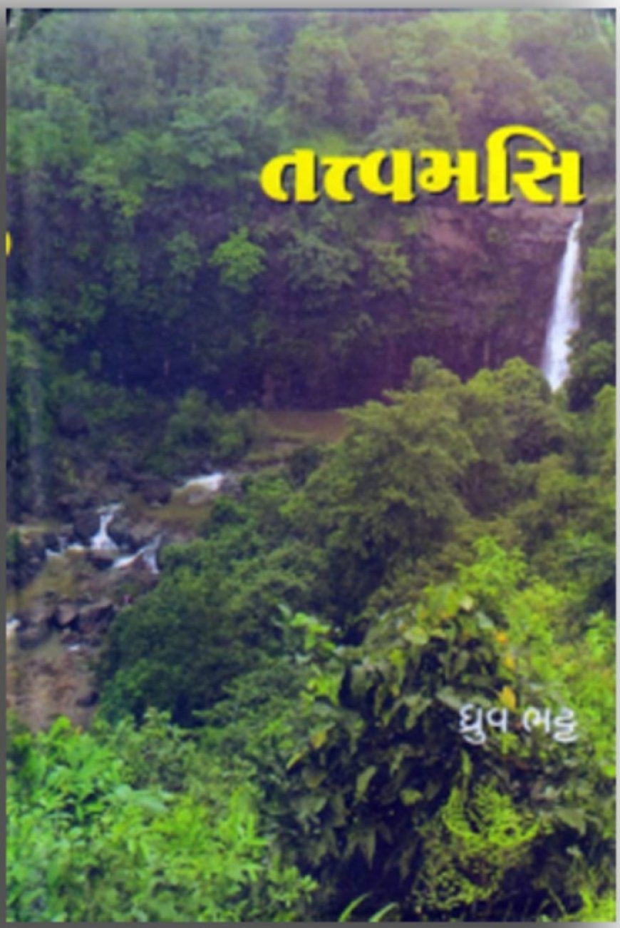 તત્વમસિઃ મા રેવાના ખોળે, જીવતરની વાતું...