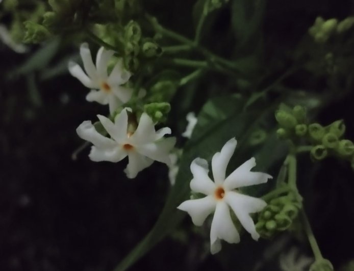 walk in the night send open show reply