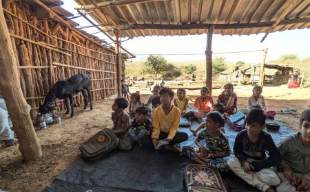 દીપડાના ત્રાસ વચ્ચે આવેલો નેસ :  બારવાણીયા 