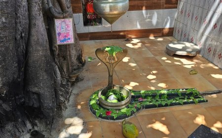 શિવલિંગ પર દૂધ શા માટે ચઢાવવામાં આવે છે ? 