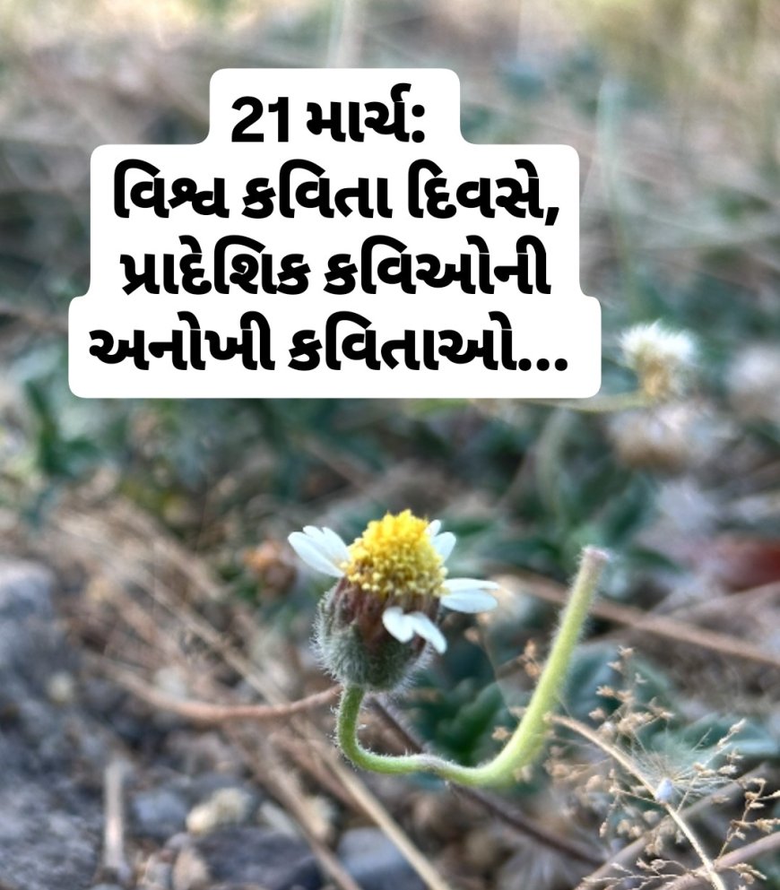 વિશ્વ કવિતા દિવસે પ્રાદેશિક કવિઓની અનોખી કવિતાઓ...