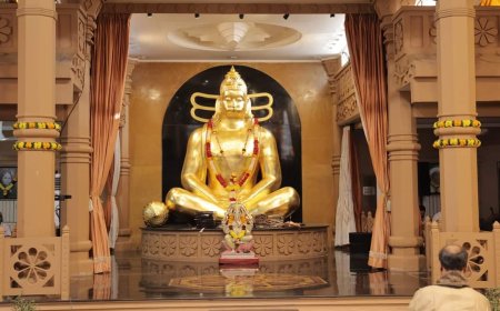 હું અને મારા હનુમાન...