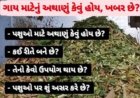 silage ગાય માટેનું અથાણું કેવું હોય, ખબર છે? જાણો, પશુઆહારની રસપ્રદ પ્રણાલી...