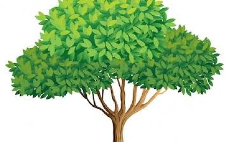 Children's essay મારું મિત્ર વૃક્ષ : ચીકુડી !