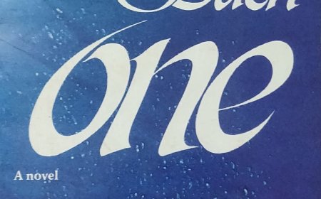 One : ચાલો, રિચાર્ડ બાક સાથે ' એક ' અલગ દુનિયાની સફરે... 