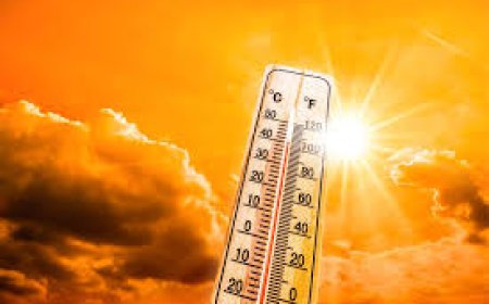 Heatwave signal ગરમીમાં તાપમાનના સિગ્નલ શું હોય છે? કેટલાં તાપમાને કયું એલર્ટ મળે છે?