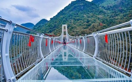 Travel ઋષિકેશમાં જોવા લાયક 10 સ્થળો...