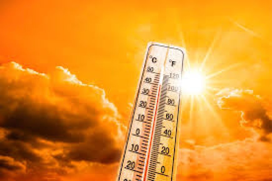 Heatwave signal ગરમીમાં તાપમાનના સિગ્નલ શું હોય છે? કેટલાં તાપમાને કયું એલર્ટ મળે છે?